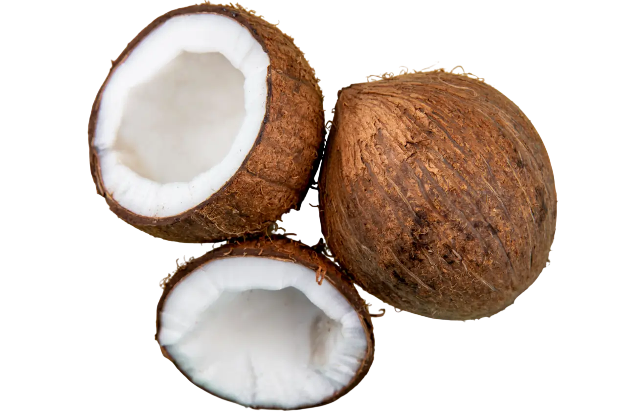 Coconut