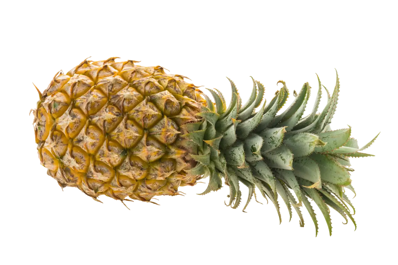 Pineapple
